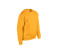 HEAVY BLEND ADULT CREWNECK SWEATSHIRT