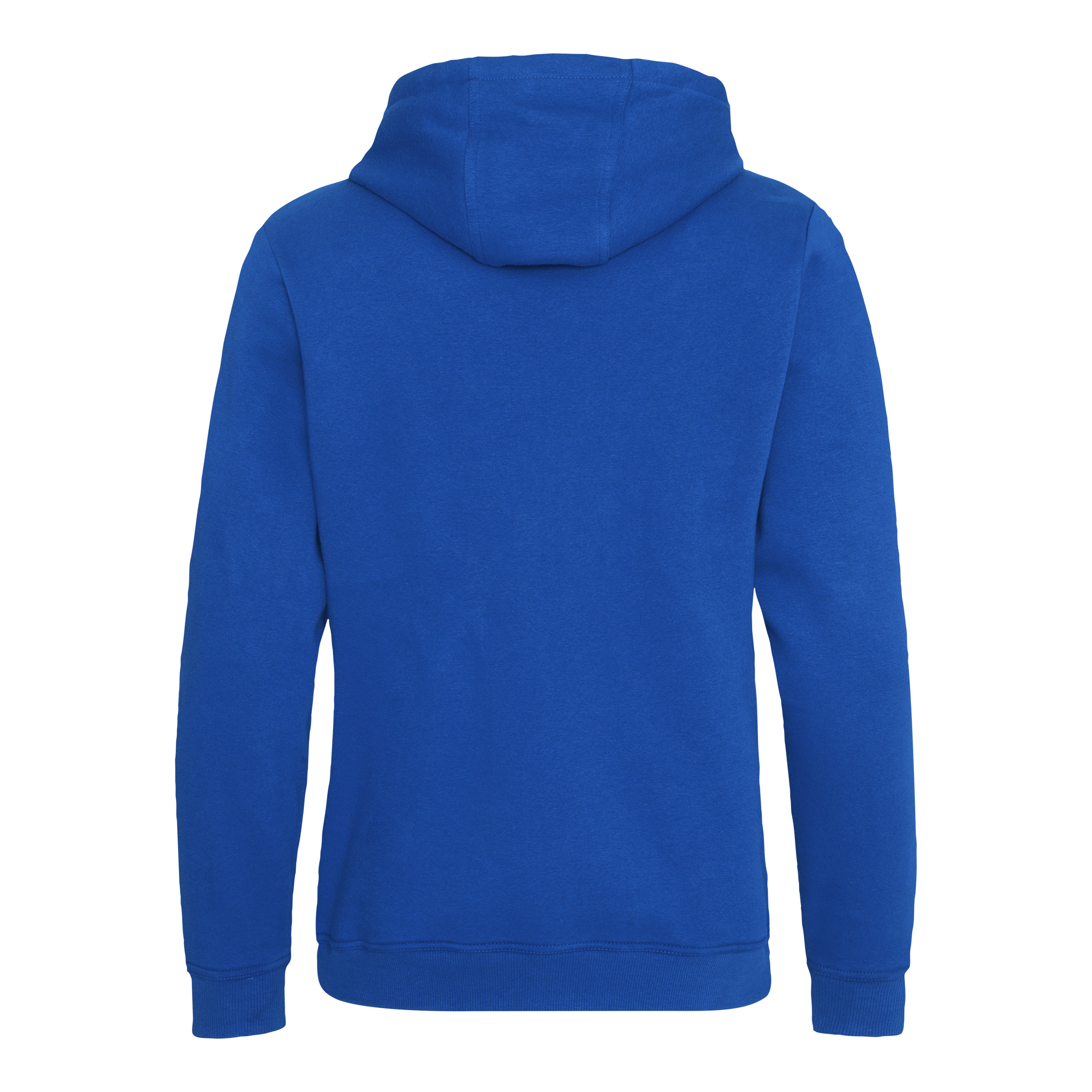 GRADUATE HEAVYWEIGHT ZOODIE