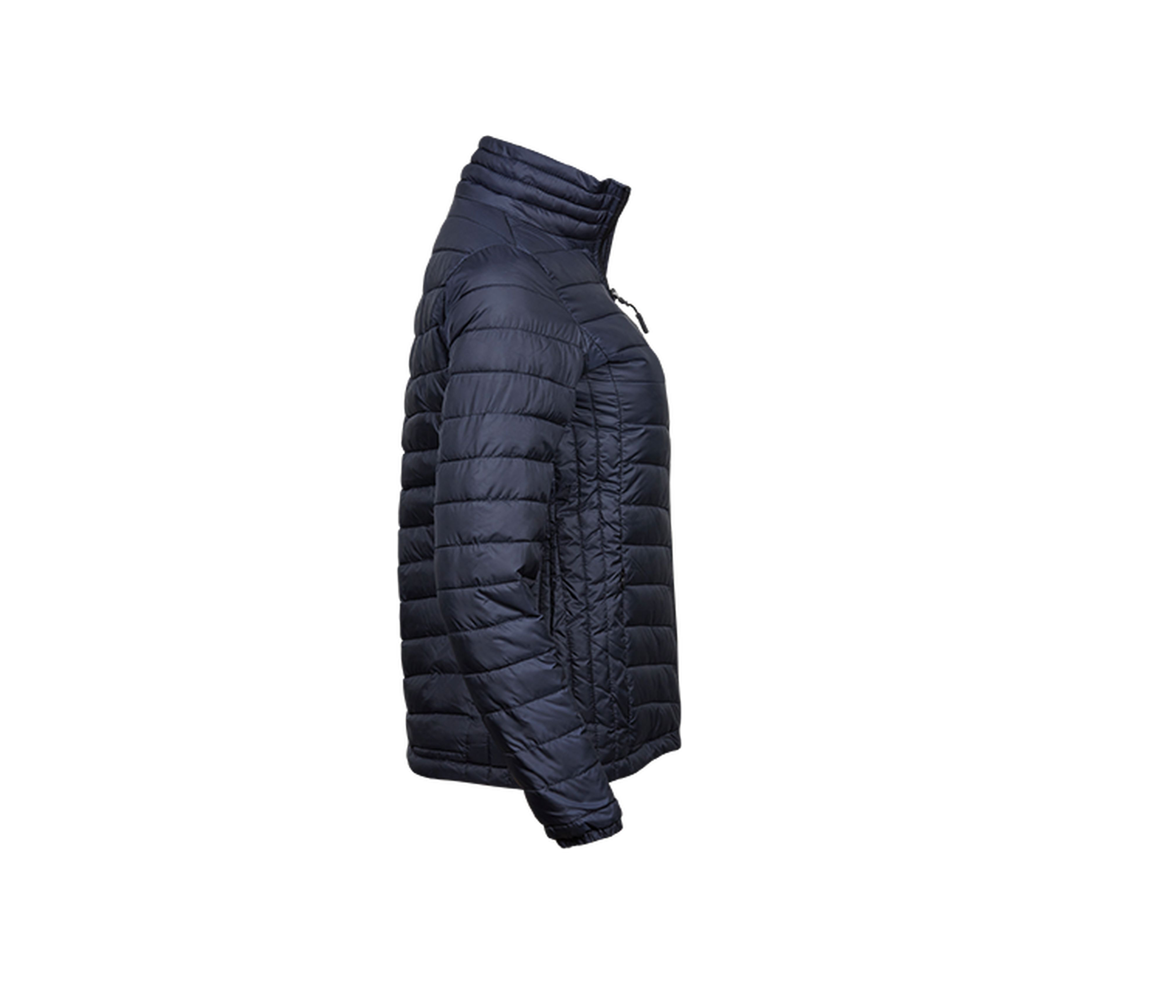 WOMEN'S ZEPELIN JACKET