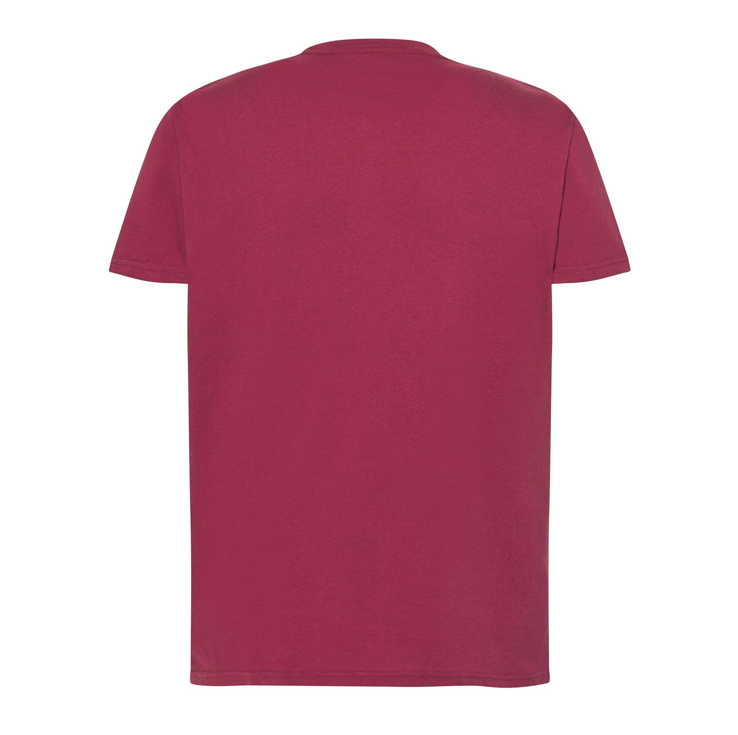 REGULAR PREMIUM T-SHIRT