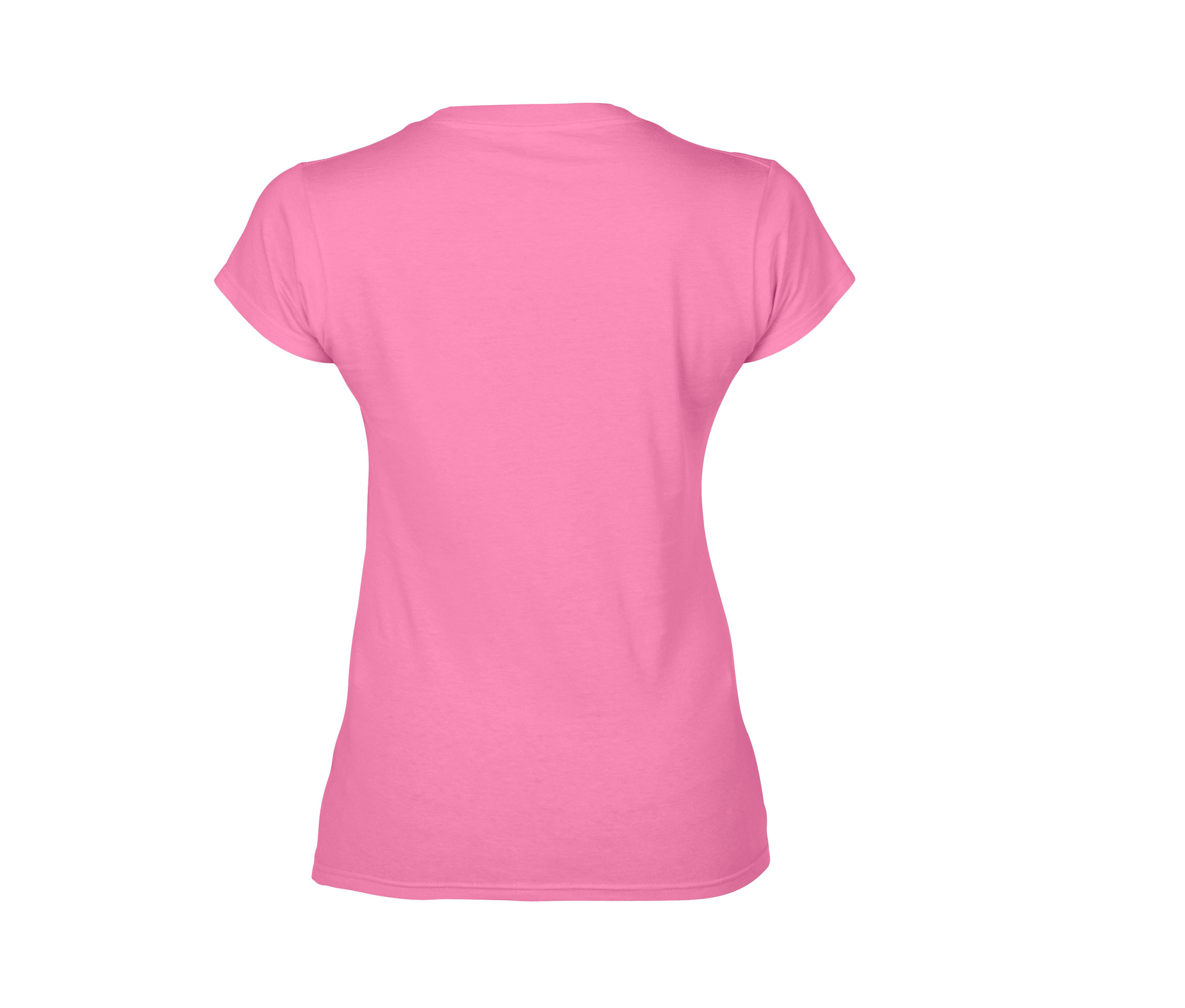 SOFTSTYLE® LADIES' V-NECK T-SHIRT