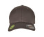 Flexfit Organic Cotton Cap