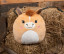 SQUIDGY PONY